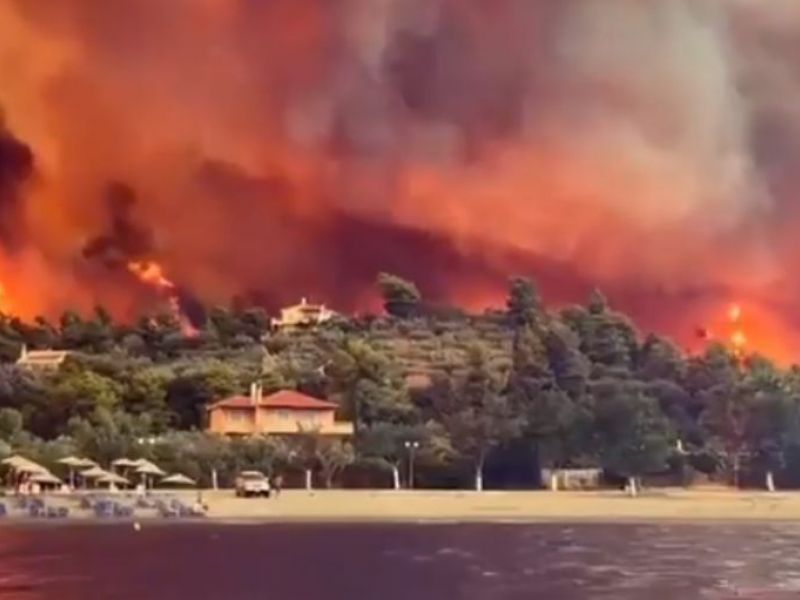 Reprodução/Twitter Reprodução/Twitter