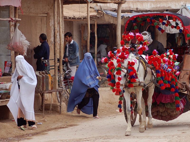 Fardin Waezi (UNAMA) Fardin Waezi (UNAMA)