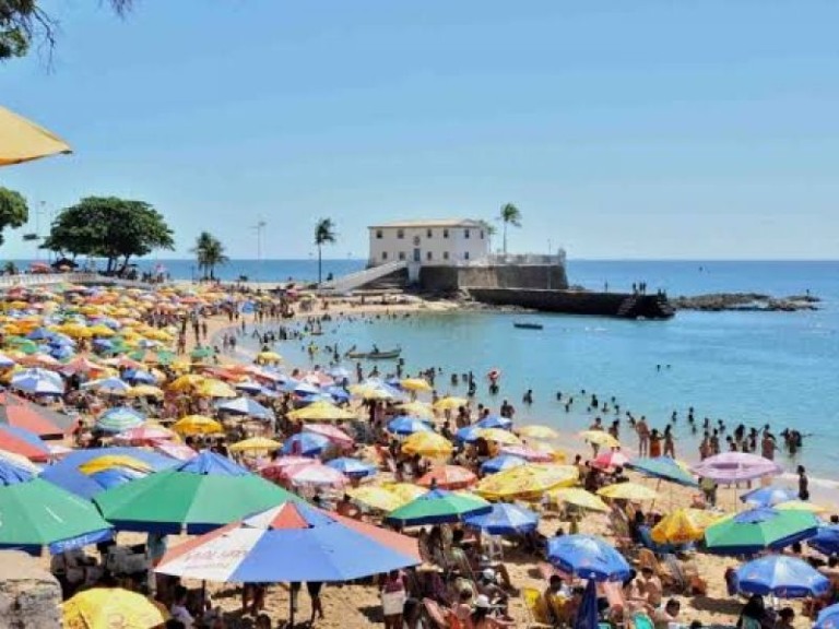 Reprodução Reprodução