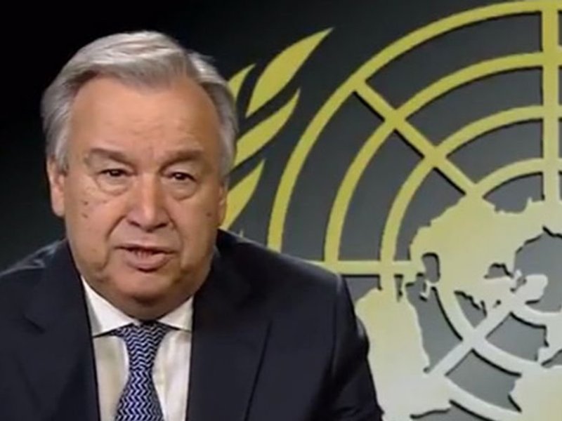 Reprodução Reprodução