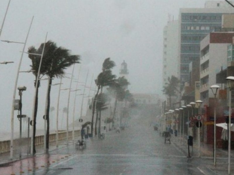 Reprodução Reprodução