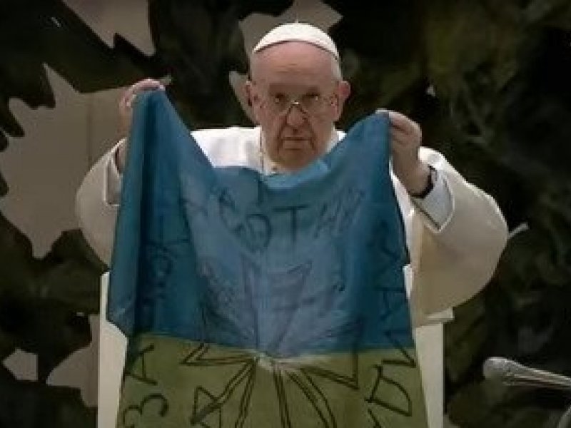 Reprodução Reprodução