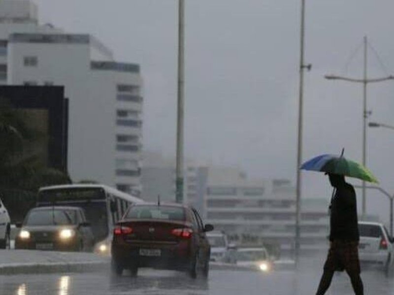 Reprodução Reprodução