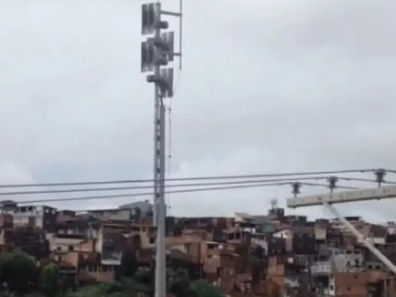 Reprodução Reprodução