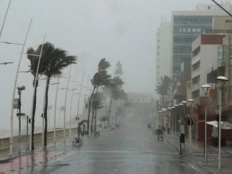 Reprodução Reprodução