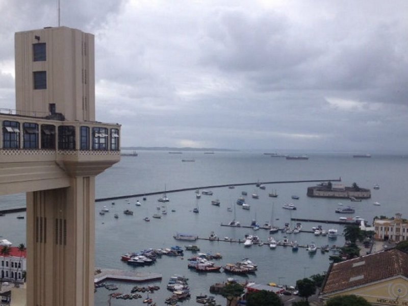 Reprodução Reprodução