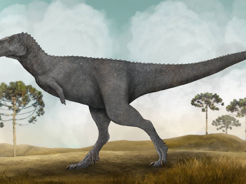 Johnny Mingau Johnny Mingau