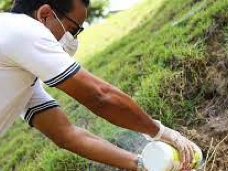 Divulgação Divulgação