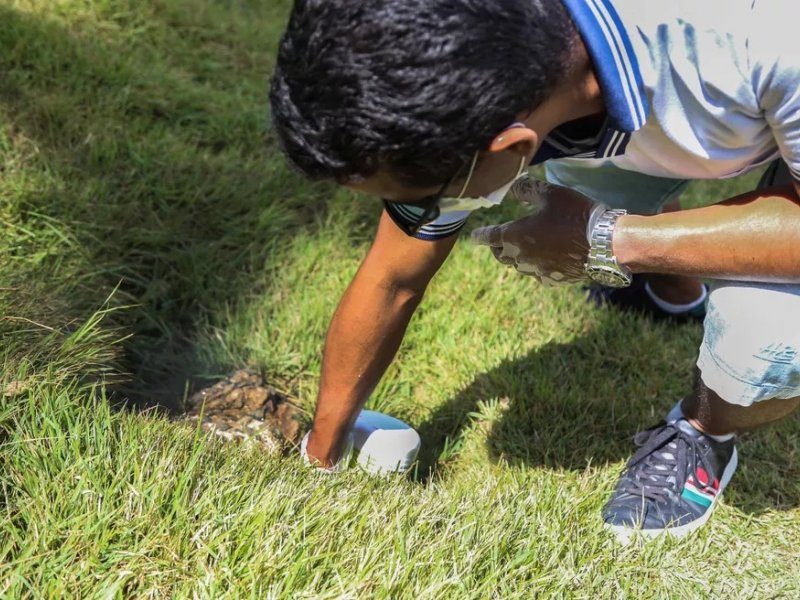 Concha/prefeitura de Salvador Concha/prefeitura de Salvador