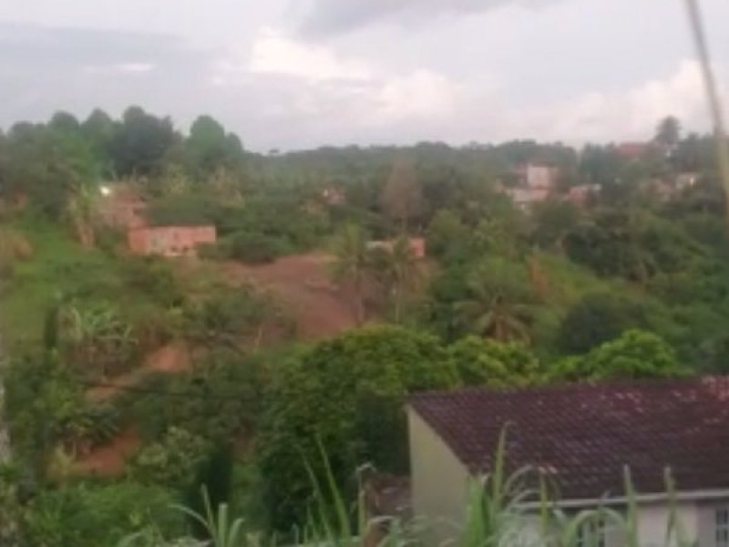 Reprodução Reprodução