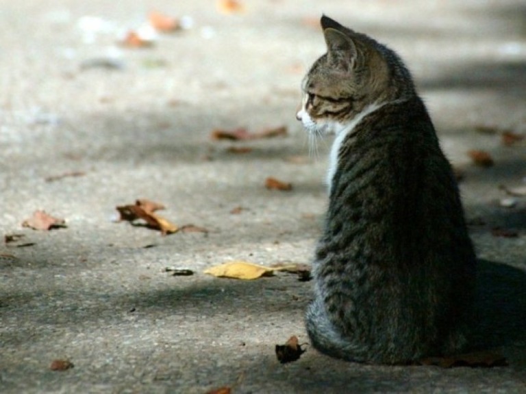 Reprodução / Redes Sociais Reprodução / Redes Sociais