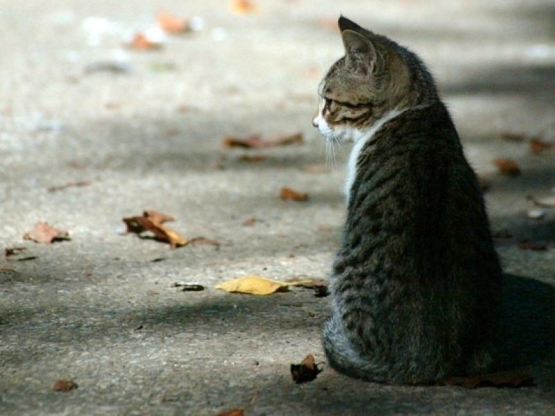 Reprodução / Redes Sociais Reprodução / Redes Sociais