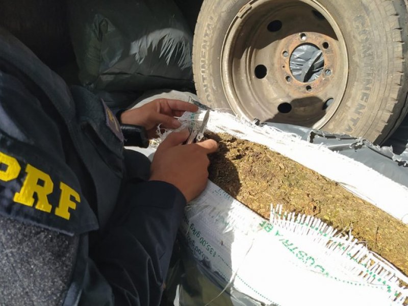 Divulgação Divulgação