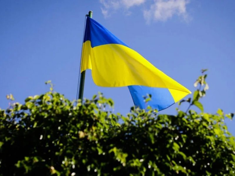 Reprodução Reprodução