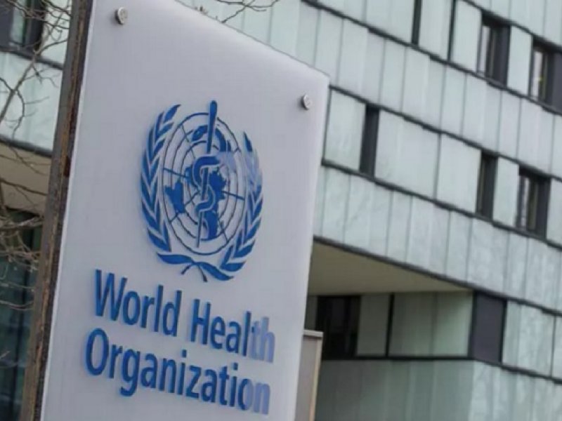 Divulgação / OMS Divulgação / OMS