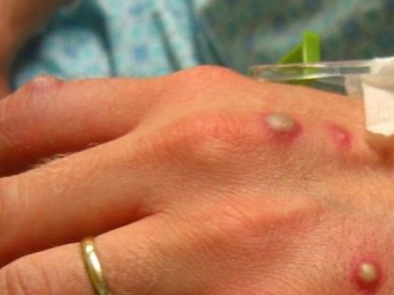 Reprodução / R7 Reprodução / R7