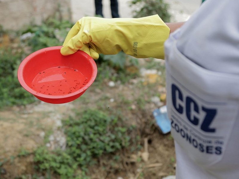 Bruno Concha/Secom Bruno Concha/Secom