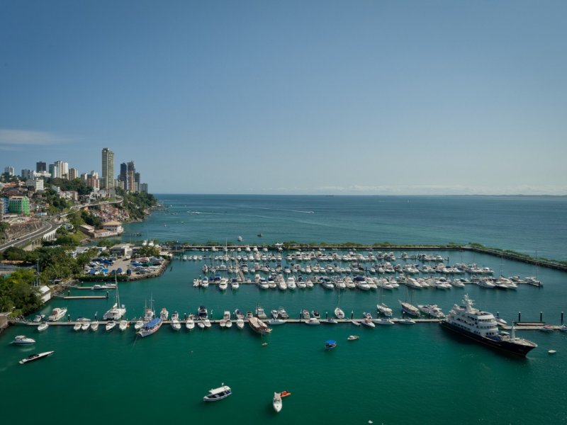 Reprodução Reprodução