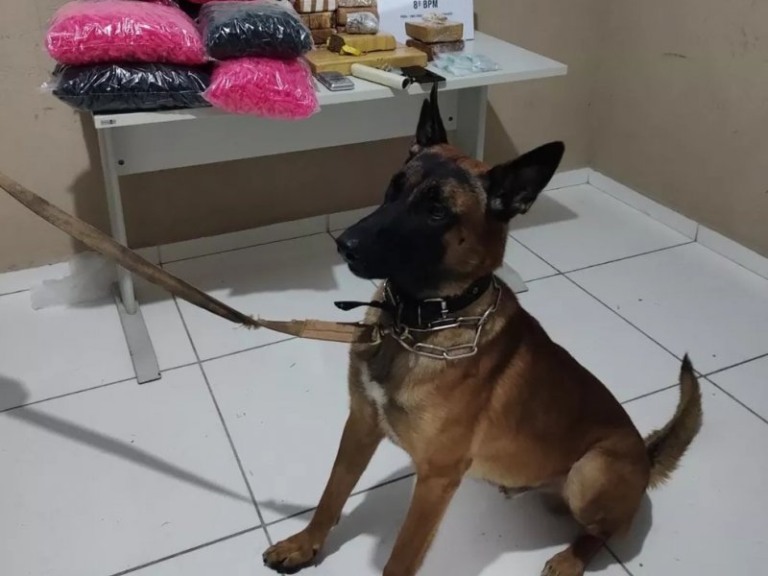 Divulgação/PM-BA Divulgação/PM-BA