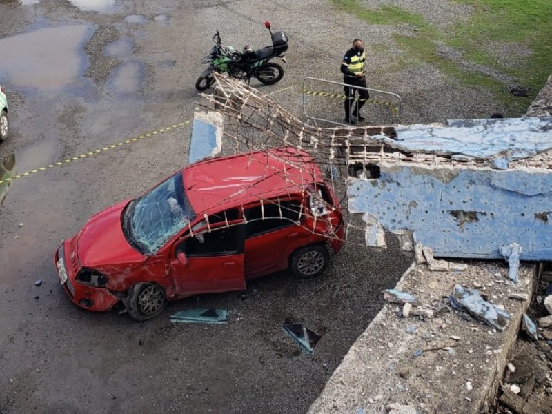 Reprodução Reprodução