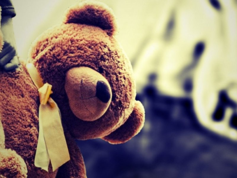 Reprodução Reprodução