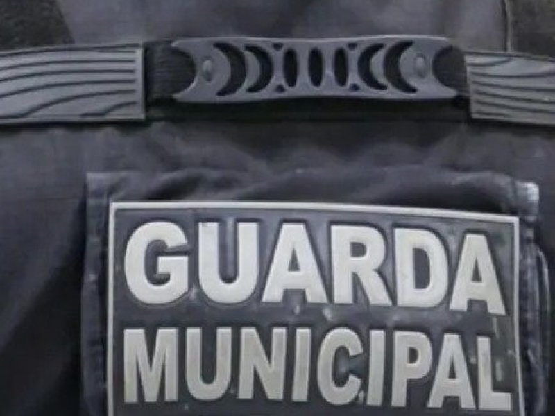 Reprodução Reprodução