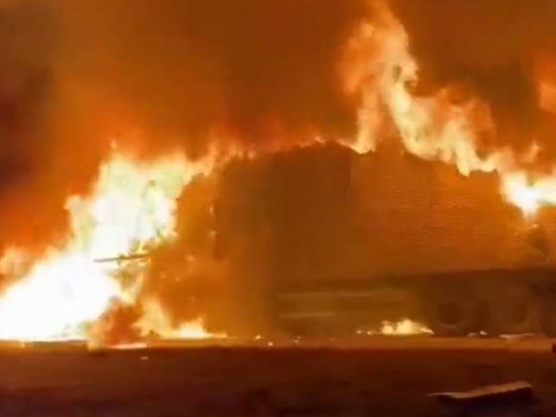 Reprodução Reprodução