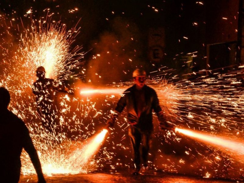 Reprodução Reprodução