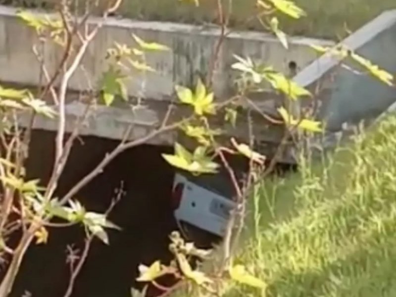 Reprodução / Redes Sociais Reprodução / Redes Sociais