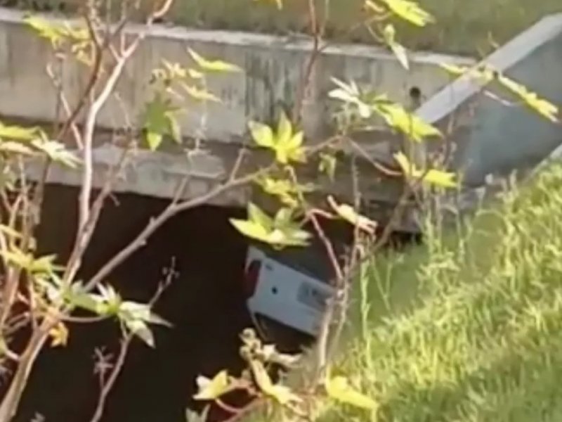 Reprodução Reprodução