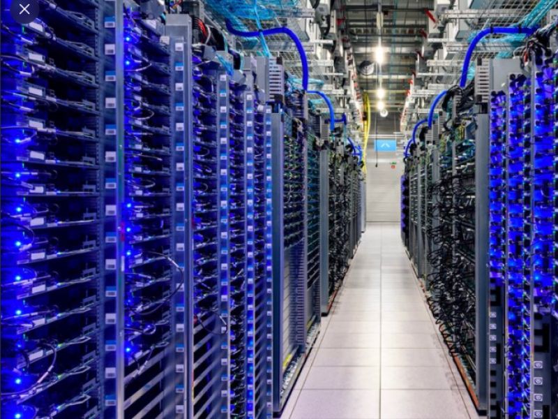 Reprodução Reprodução