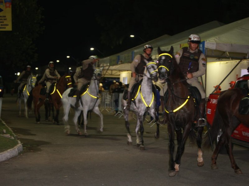 Divulgação Divulgação