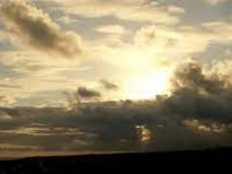 Divulgação Divulgação