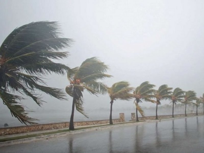 Divulgação Divulgação