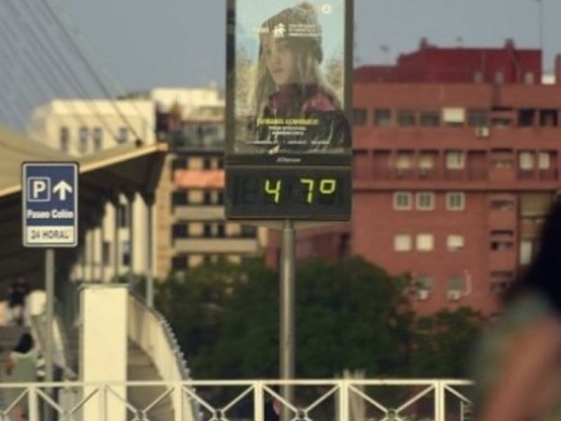 Reprodução Reprodução