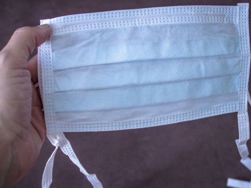 Raquel Portugual / Fiocruz Raquel Portugual / Fiocruz