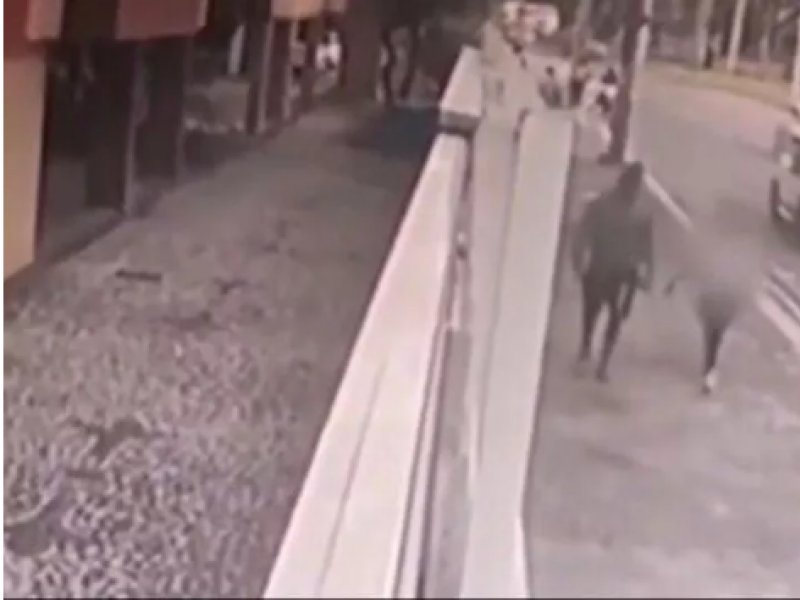 Reprodução Reprodução