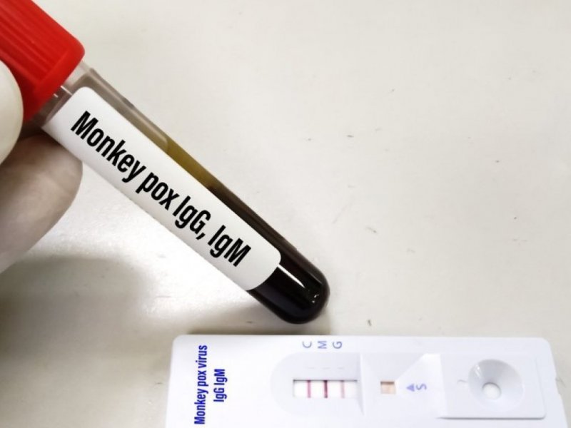 Divulgação Divulgação