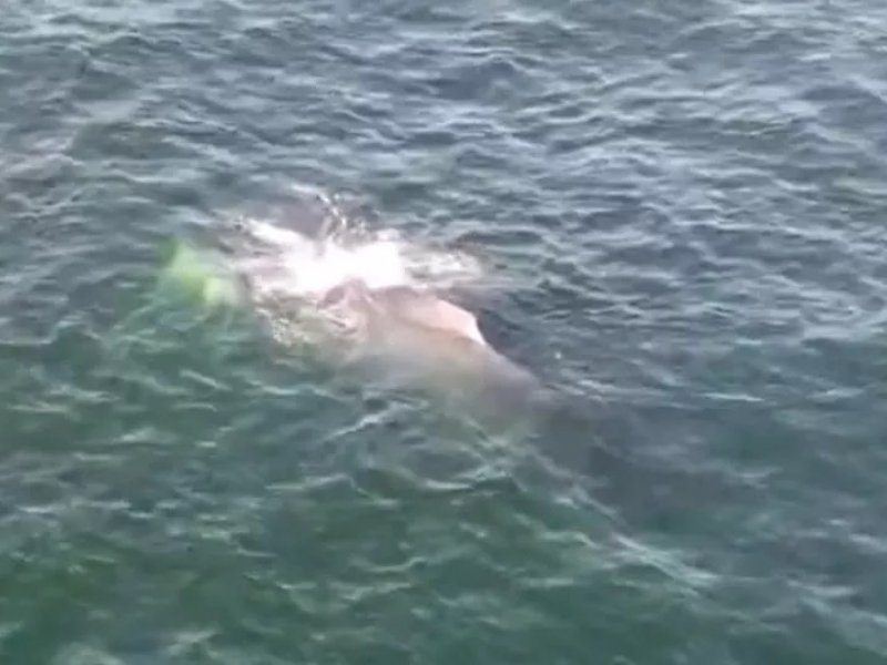 Reprodução / TV Bahia