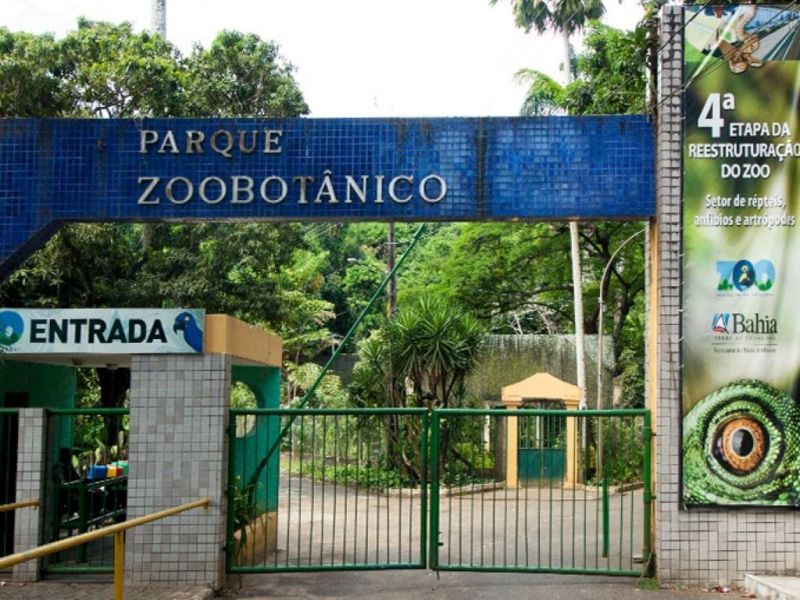 Zoológico de Salvador/Divulgação