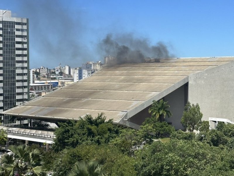 Reprodução Reprodução