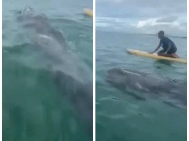 Reprodução / TV Bahia