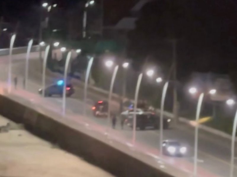 Reprodução Reprodução