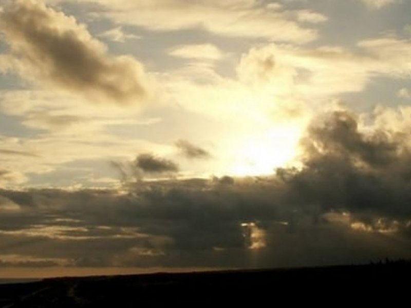 Divulgação Divulgação