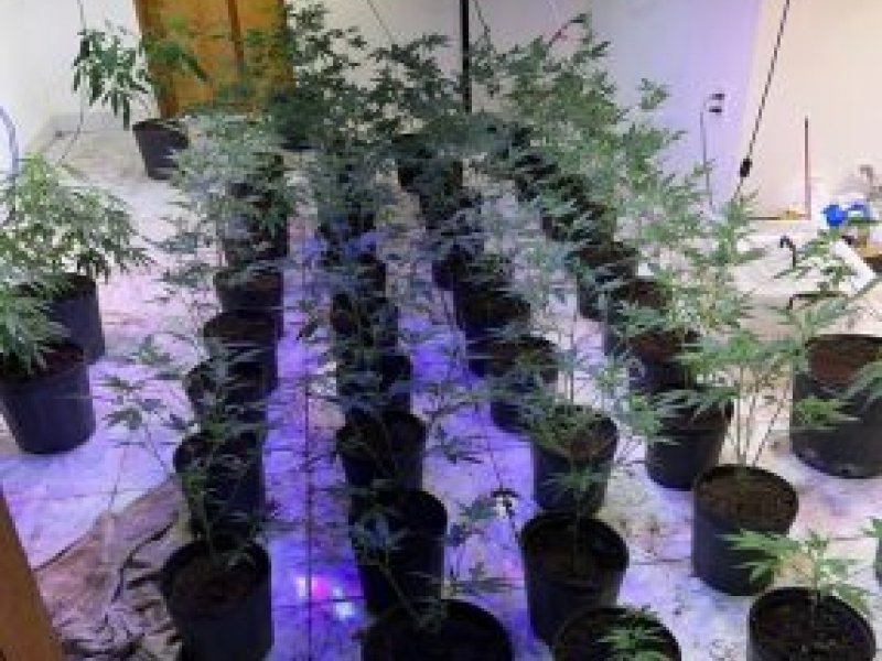 Divulgação PM Divulgação PM