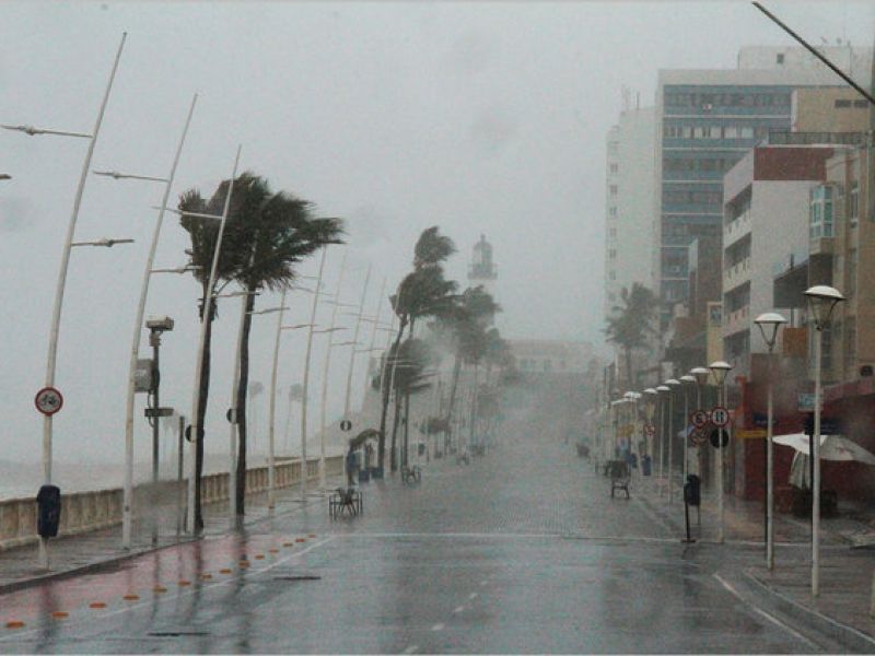 Divulgação/Codesal Divulgação/Codesal