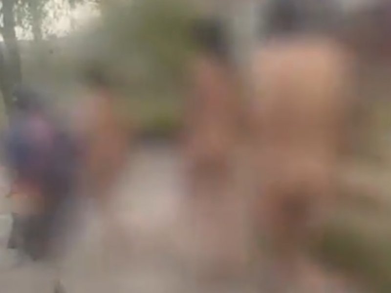 Reprodução Reprodução