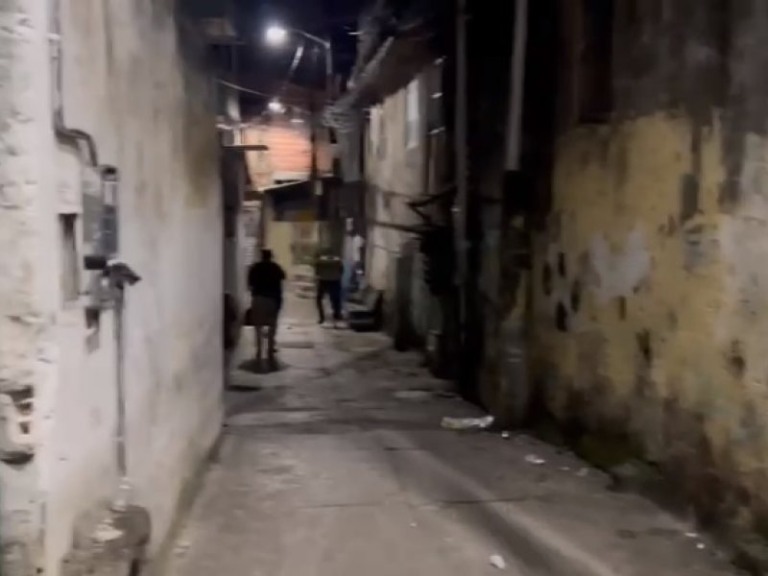 Reprodução Reprodução