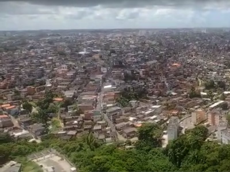 Reprodução Reprodução