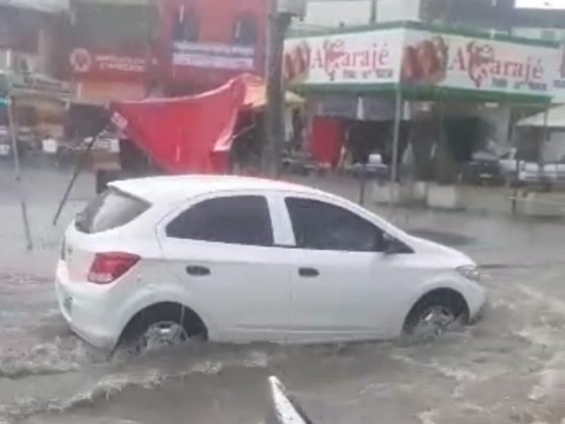 Reprodução Reprodução